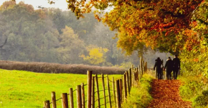 Personnes marchant sur un sentier bordé d’arbres aux couleurs d’automne dans un environnement naturel.