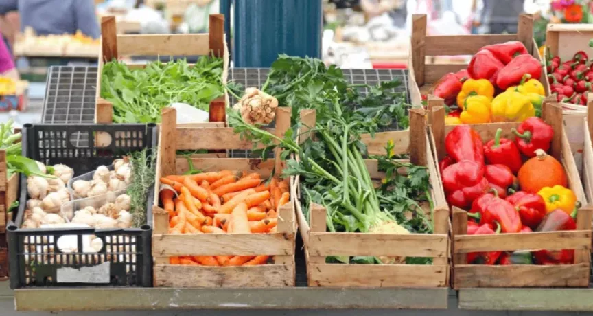 Étal de marché avec légumes frais, carottes, poivrons, champignons et herbes aromatiques.