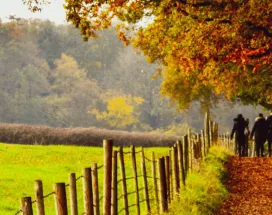 Une famille en balade en automne au Luxembourg