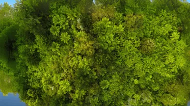 Sustainable Lifestyle Pluxee